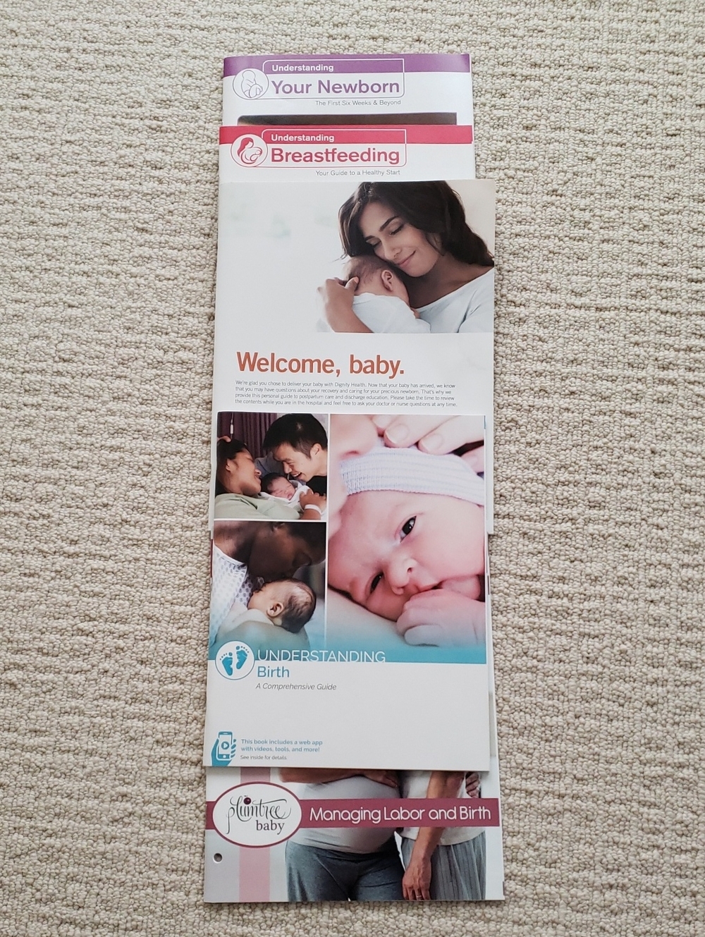 New Parent Education Bundle - Educational Purposes Only